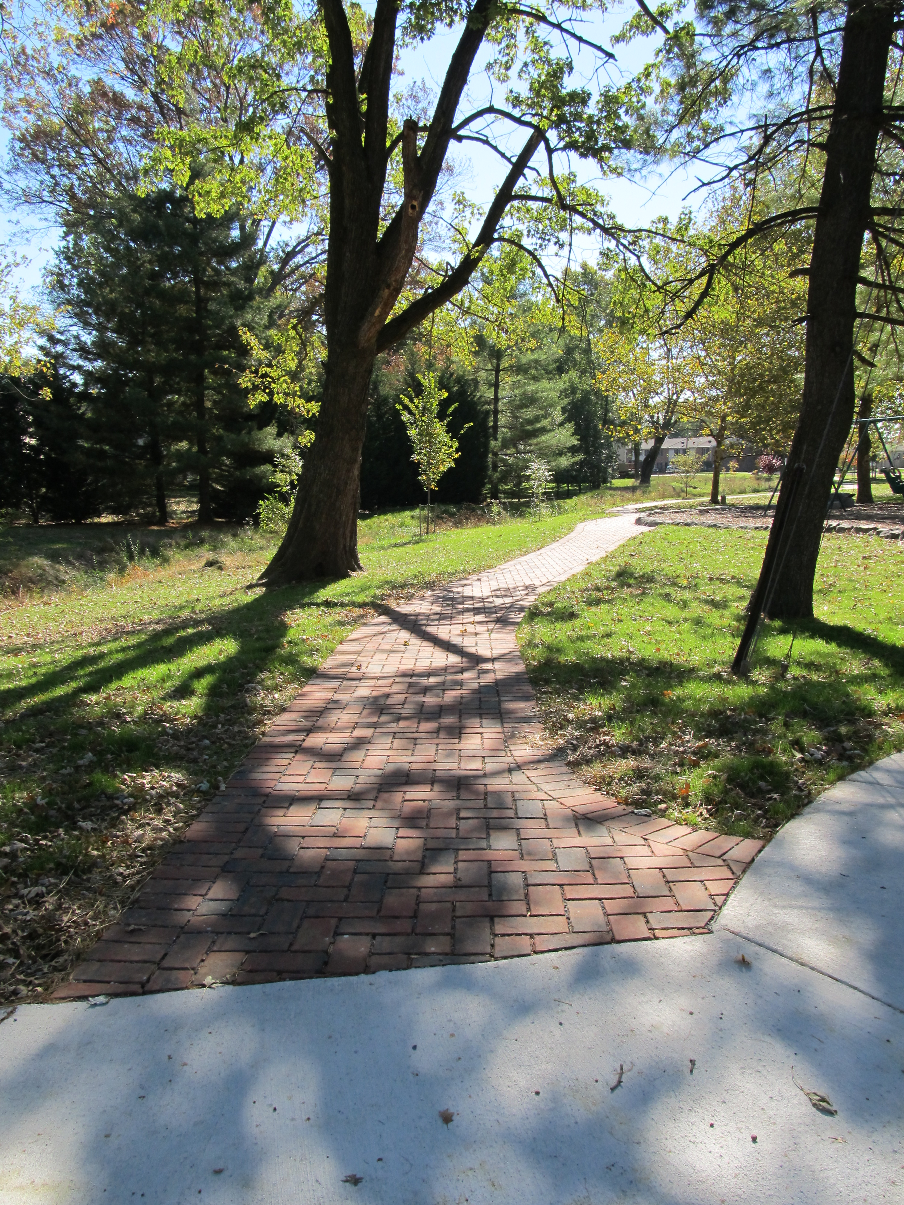 Plumtree Park 102113 (7)